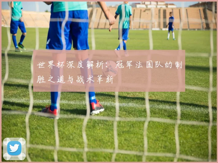 世界杯深度解析:冠军法国队的制胜之道与战术革新