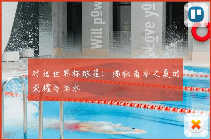 对话世界杯球星：揭秘南非之夏的荣耀与泪水