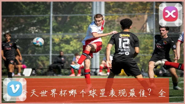 今天世界杯哪个球星表现最佳？全场数据深度解析