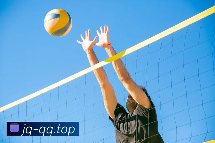 f8体育官网登录入口发展历程